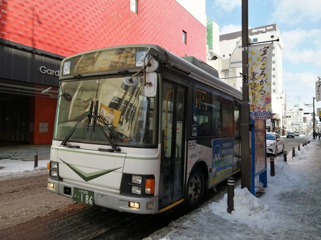 十和田 市 オファー 現代 美術館 バス パック