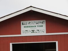 これから乗馬ツアー (Horseback Tour）に行きます。

このツアーに参加できるのは10歳以上の方です。