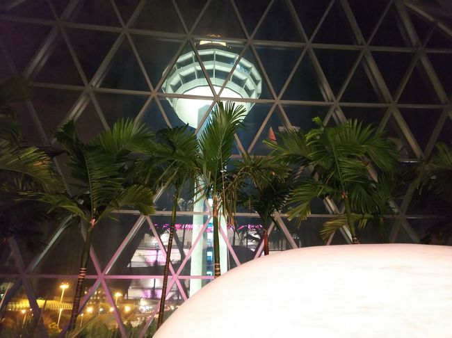 今度またゆっくり来よう。<br />まだ暗いですが、2時間前になったのでチェックインしなければ。