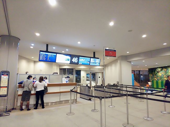 仕事終わってダッシュで空港へ。<br /><br />ウエブチェックインであてがわれてた座席はど真ん中。通路側に変更しました。<br />トイレが気になって、一人の時は通路側を選んでしまいます。<br />カウンターで「46番ゲートは20分かかりますからお早めに」と<br />中国滞在を確認されました。<br /><br />隣にはホヌがいました。いつかあれに乗りたいなあ。