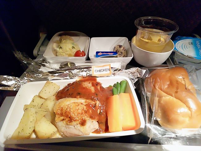 機内食。<br />この後ハーゲンダッツのアイス。<br />これが一番おいしかったです。<br /><br />ただシンガポール航空の機内は非常に寒いので残しました・・・
