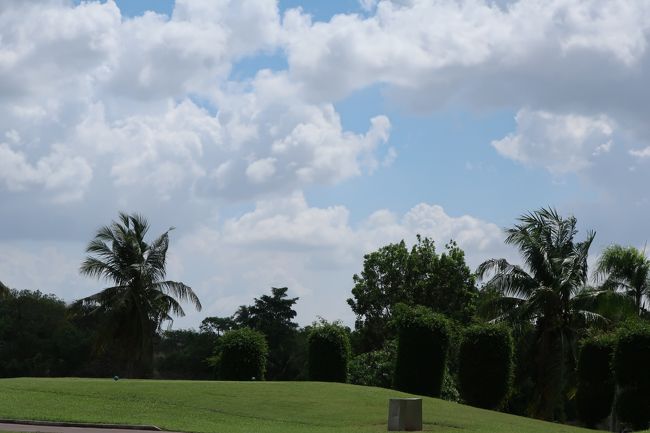 晴天で、汗ばむ陽気。