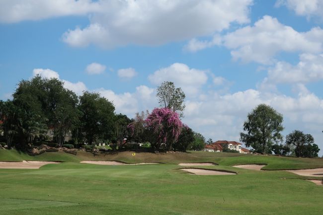 フェアウエーの手入れはマズマズ。<br />バンカー砂は、柔らかめ。<br />グリーンは速い....下り速さ調整が難しかった。