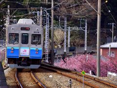 駅を降りると早速見つけてしまいましたよ～
ホームの先に映える、一際綺麗に彩られていたとっても気持ちのいい桜色が、春爛漫な伊豆の風景をより一層素敵に演出していましたねｗ(#^.^#)