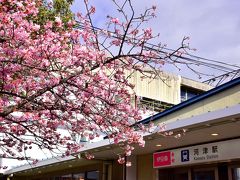 ひと足早い春色の風景が美しく咲き広がるココ伊豆の地
春先の伊豆は言わずと知れた、賀茂郡河津町の「河津桜まつり」が大変有名ですよね～
今日は春を感じる色華やかな風景を求めて訪れてみました