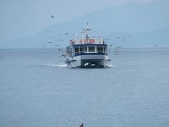 丹後半島を北に進んで伊根の舟屋へ。
カモメと共に帰ってきた遊覧船に乗り込んで伊根湾を一周。