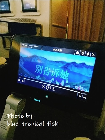 娘は搭乗とともに寝てしまったので、機内ではゆっくりできました。<br /><br />行きに途中まで見た「催眠・裁決」と、「別告訴她（The farewell）」という映画を見ました。別告訴她（The farewell）のほうは途中までしか見られなかったのですが、主人公の女性の演技が結構好きで、帰宅して調べてみたら、オークワフィナさんというアメリカの女優さんとのこと。見たことあるなぁと思ったら、先日インドネシアに行った時にガルーダインドネシアに乗ったのですがその機内で見たCrazy Rich Asiansに出ていた女優さんでした。Crazy Rich Asiansでは主人公の友人役で出ていたのですが、演技が好きだなーと思ってみてたんです。でもまさか同じ人物とは思いませんでした。演技上手だなぁ。コメディアン、ラッパーでもあるらしいです。