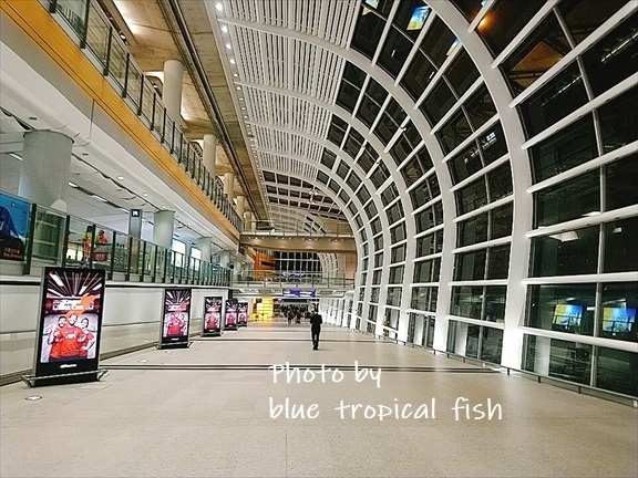 がらーーーん。