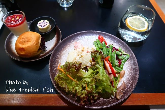 まずはパンナコッタ、チーズケーキとサラダ。