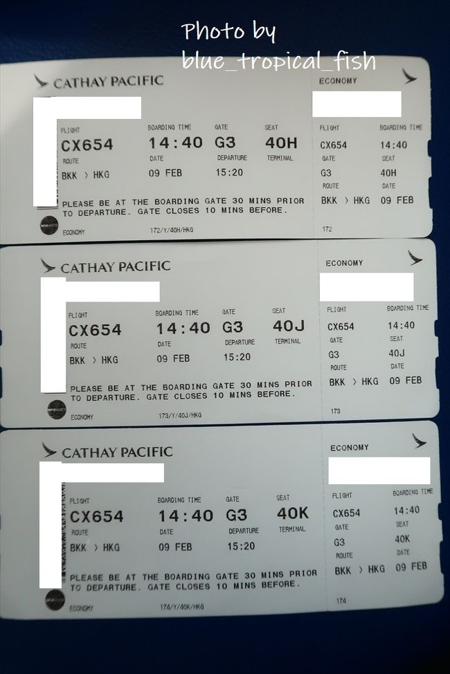 搭乗券。エコノミー最前列の窓際3席。