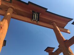 鳥居の下を歩く、
結構大きい。