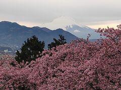 会場に到着した時はすでに15：30.
曇り空なので富士山も薄い。。