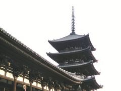 まずは、駅から近い「興福寺」へ。