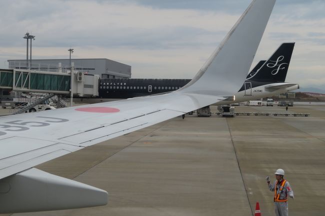 というわけで、無事北九州空港に着陸しました。窓の向こうにはスターフライヤーが停まっています。