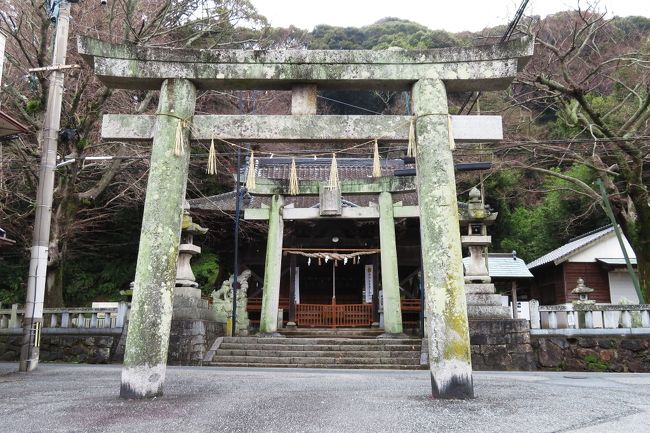 この蓑島神社、敷地の外（道路）にも鳥居があり、非常に歴史がありそうな神社です。