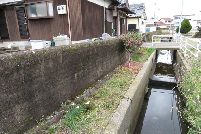 かつての海岸線を示す防潮堤。手前の水路がある側が海でした。<br />観光地ではない蓑島、日常生活を送られている方々のところにお邪魔させていただきました。非常に面白かったです。