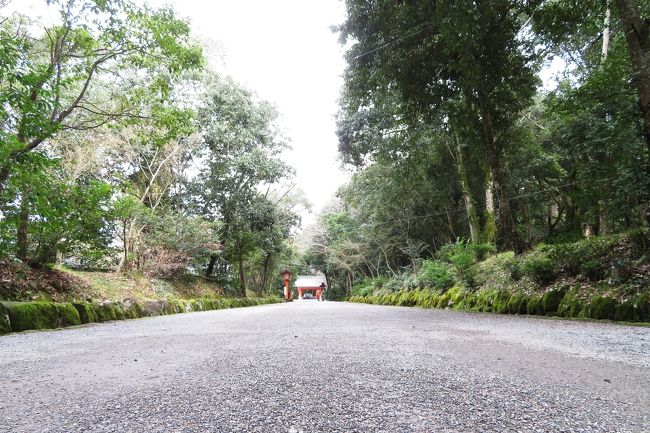 西参道。<br />宇佐神宮は、全国にあまたある八幡宮の総本社で、京都の石清水八幡宮、福岡の筥崎宮（または鎌倉の鶴岡八幡宮）とともに、三大八幡宮の一つに数えられています。