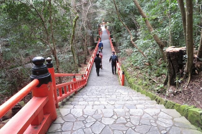 こんな参道を通って