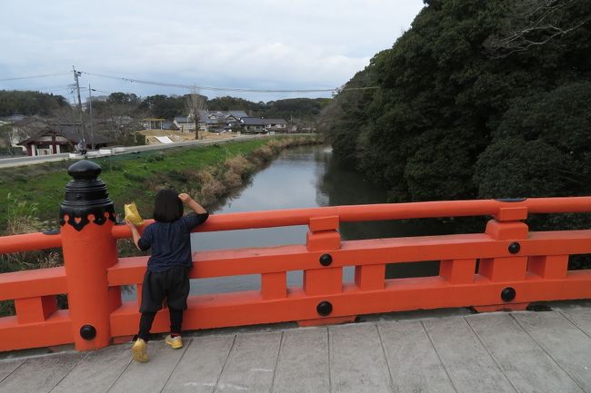 駐車場に戻ってきました。神橋横で鯉のえさ（100円）を売っていたので、子供がやりたいというので購入。