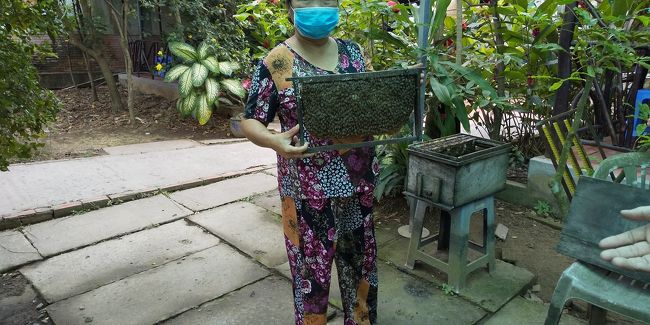 トイソン島では蜂がお出迎え。刺さないといわれますが、近寄っては欲しくない。