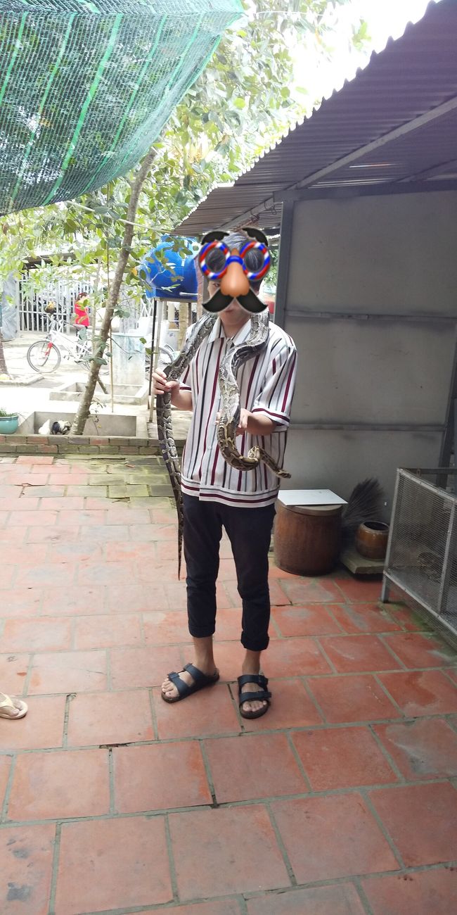 なぜかニシキヘビと記念撮影、私は遠慮しました。