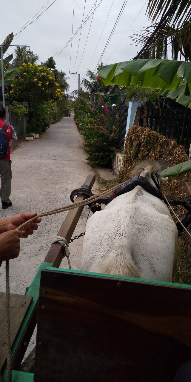 お次は馬車で移動。重たい人は前に乗らないと、バランスが取れません。