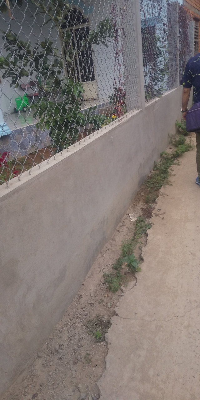 クルーズのあとは島内を散策