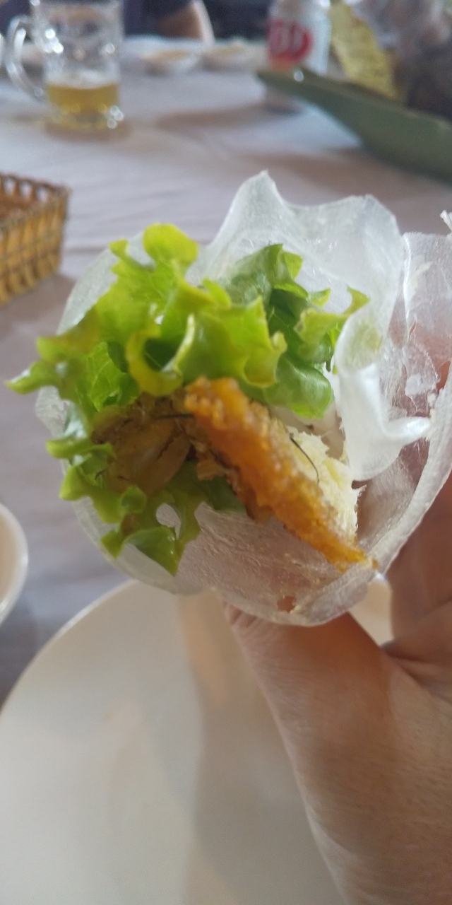象耳魚を揚げたものを春巻の皮で包んでいただきます。美味?