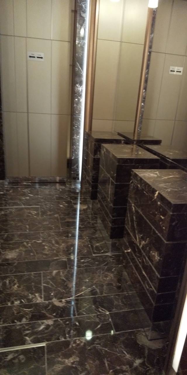 ロビーのトイレの入り口ですが、自動ドアでした。<br />思わず撮ってしまったのは私だけ？<br />高級感溢れます。ここはウオッシュレットではありません。