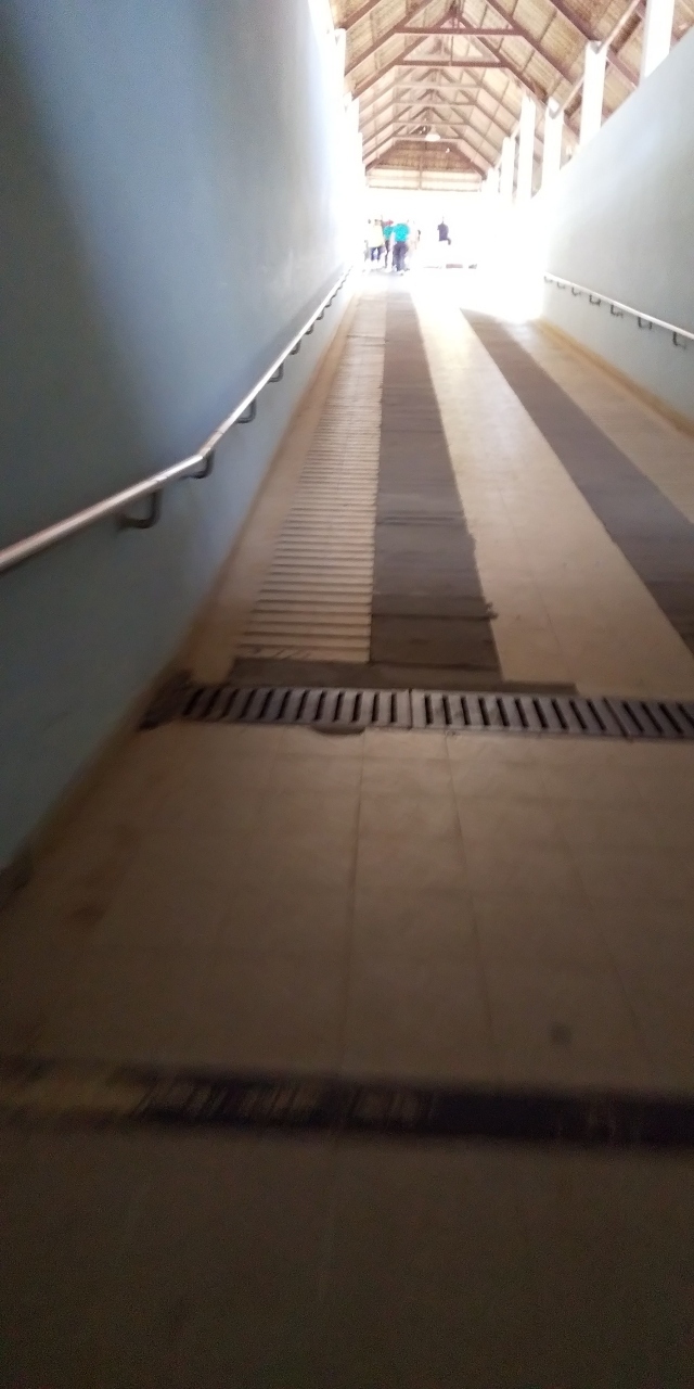 駐車場から道路を渡る地下道を通って、森の中に入っていきます。