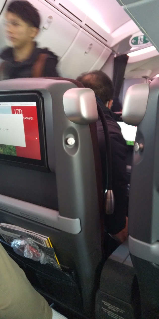 羽田伊丹間は新しい機種