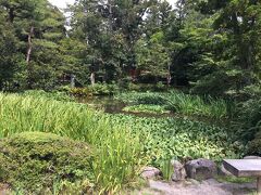 石浦神社の脇の坂道を登って、兼六園に向かいました。
１４時くらいだったので、おひるごはんをくいっぱぐれそうになっています。
兼六園の中にはもう茶屋くらいしかないらしく、絶望。

