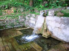 垣花樋川。うっそうと繁る林の中腹岩根から湧水が湧き出ており、地域の生活用水として利用されています。