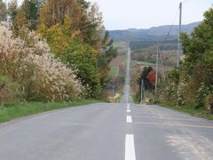 最後はジェットコースターの路へ。
半分くらい運転しただけだったけれど急勾配すごかった！
面白かった～。