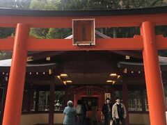 お隣には九頭龍神社があります。
流れでこちらにも参拝。