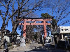 そして氷川神社の参道に到着。

ちなみに参道は長さが2kｍあり日本一だそうです。
あと写真の二の鳥居も木造では日本一大きな鳥居だそうです。
