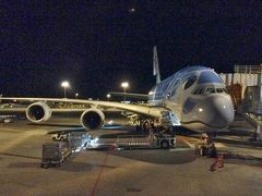 成田空港でのANAフライング・ホヌ。夜発の便だと、残念ながら、あまりいい色に見えません。