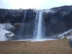 南アイスランドにやって来ました。

セリャリャンス・フォス
滝の裏側に行かれることで知られています。

夏のドライブは緑が豊かだったり、ルピナスの花が咲き乱れていたりして、気持ちが弾みましたが、冬のドライブは花もなく寂しい風景でした。