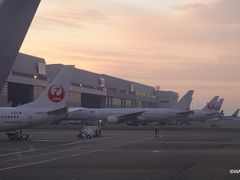 日ノ出と共に羽田空港を離陸