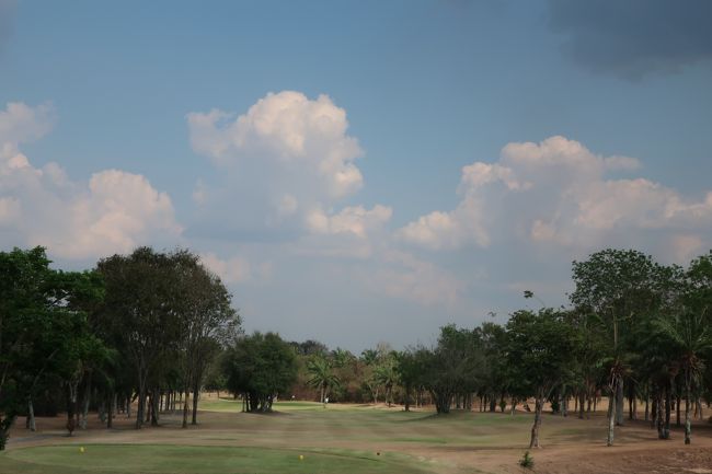 肩が回る、球を見るタイミングの工夫で、距離が伸びた。<br />グリーン下りは順目の場合は高速....反対から見る余裕無しで失敗。