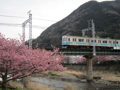 時々、伊豆急が走ります☆