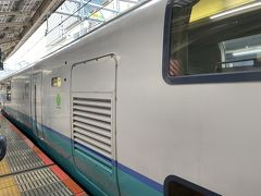 昨年は車で渋滞に疲れ果てたこともあり、今年は早くから電車と決めていて、ちょうど3月ダイヤ改正で姿を消すスーパービュー踊り子に東京駅から乗りました。
30年走ってきたこの電車に乗るのも初めて。おそらく最初で最後だな。