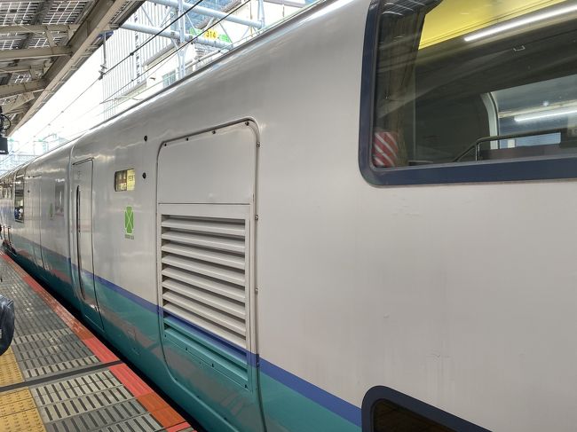 251系 河津桜トレイン 運転」の投稿写真（19枚目） - 鉄道コム