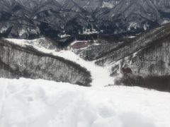 数日雪も降ってないようで、雪は少なめ。木々が白くないんですね。