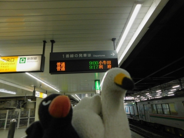 東北本線下り普通列車で小牛田駅方面へ北上 仙台 宮城県 の旅行記 ブログ By アヒルのつばささん フォートラベル