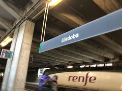 グラナダからコルドバへrenfeで移動。
チケットは事前にインターネットで購入済み。
renfe(近郊路線を除く)は毎度荷物チェックがあり、X線に通しました。