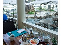 バニヤンツリーを眺めながら
