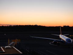 展望デッキで飛行機見学もします。
夕焼けが綺麗～ちょっと富士山も見えて嬉しい。
ただ・・・この季節はかなり寒いので長居はできません。