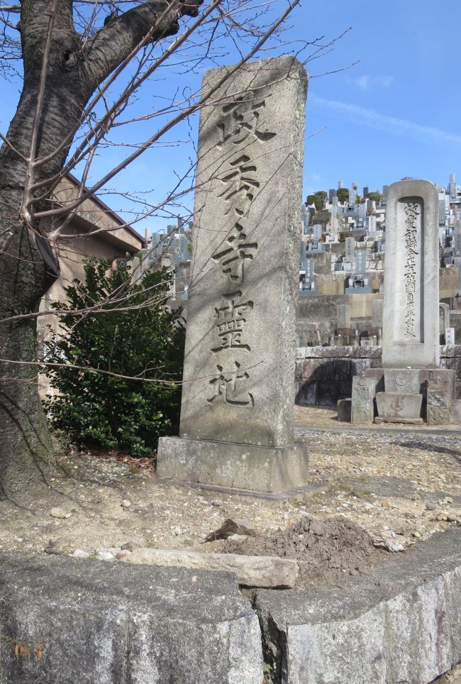 2020新春、続々・平手政秀所縁の地(2/4):2月19日(2):平和公園(2):政秀寺霊地碑、墓碑のピラミッド