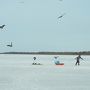 冬の北海道　さいはて野鳥紀行　風連湖の野鳥と野付半島